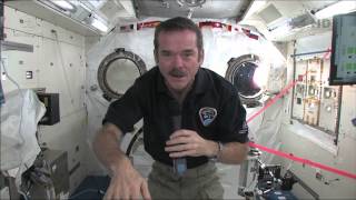 Chris Hadfield answers questions live from space with the Governor General of Canada [upl. by Brathwaite312]