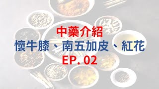 單方中藥介紹EP02 懷牛膝  五加皮  紅花 [upl. by Ida]