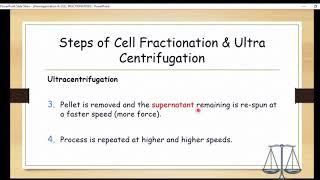 BIOL211  Differential Centrifugation Lab [upl. by Millie]