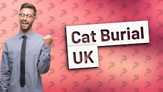 Can I bury my cat in my garden UK [upl. by Say]