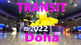 【Airport Tour】How to Transit at Qatar Doha Hamad International Airport [upl. by Ibmab]