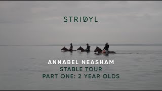 Stable Tour with Annabel Neasham 2YearOlds Sires to follow and life as a trainer [upl. by Patrick]