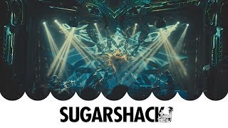 Papadosio  Find Your Cloud Live in Miami  Sugarshack Live [upl. by Anide]