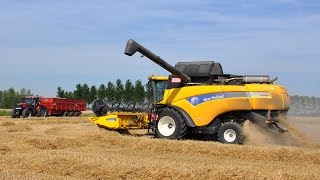 New Holland CX8090  Loonw De Bruyne  tarwe dorsen [upl. by Volotta945]