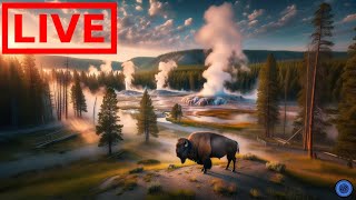 🌎 LIVE Yellowstone National Park  Old Faithful  Relaxing Music [upl. by Barnes]