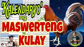 Paano malalaman ang mga Swerteng Kulay ng Manok sa bawat Petsa sa ating Kalendaryo [upl. by Ddat]