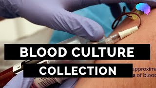 Blood Culture Collection  OSCE Guide  UKMLA  CPSA [upl. by Laet589]