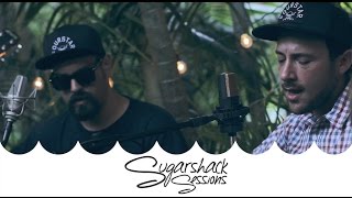 The Expanders  Something Wrong Live Music  Sugarshack Sessions [upl. by Snave]