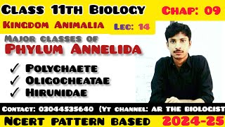 Classes of phylum Annelida Polychaete Oligocheatae l Hirunidae kingdom Animalia Invertebrates [upl. by Natanhoj]