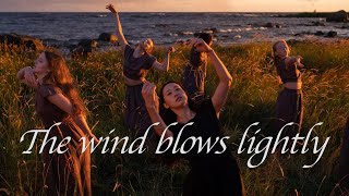 The wind blows lightly  meditation music [upl. by Onirefes285]