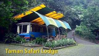 Stay at Caravan  Taman Safari Lodge  Cisarua  Bogor [upl. by Mauer]