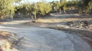 Homage to Dirk Bogarde in the olive groves of Provence [upl. by Radford]