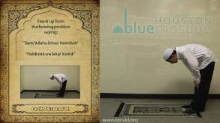 How to Pray  Zuhr Noon Pray  Fardh [upl. by Inhsor]