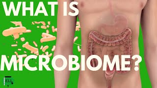 Understanding Your Microbiome 5 Key Types amp How to Restore Them [upl. by Nnaira989]