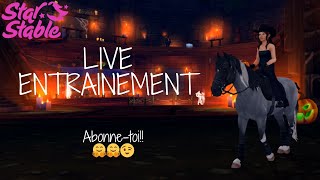 Entraînement Chevaux SSO live 🔴🤗 [upl. by Grof]