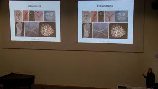 Geobiology and palaeogenomics genes that make rocks [upl. by Verity]