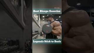 Roelly Winklaars secret to huge Arm is Basic Exercise💡bodybuilding motivation short gymmotivation [upl. by Martina]