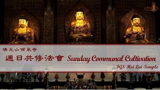 20240519【週日共修：父母恩重難報經 Sunday Communal Cultivation：Repaying Parents Sutra】佛光山西來寺 FGS Hsi Lai Temple [upl. by Alister]