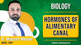 Biology  Hormones of Alimentary Canal  TopGrade  Online Learning [upl. by Nylevol979]