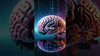 The Boltzmann brain theory theory [upl. by Marietta]