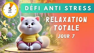 🌟 Méditation dacceptation anti stress 🌟 Défi ANTI STRESS JOUR 7 [upl. by Roarke]