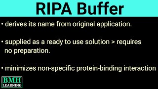 RIPA Buffer  Radio ImmunoPrecipitation Assay Buffer  Cell Lysis Buffer [upl. by Egide]