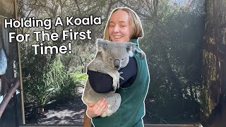 Holding A Koala For The First Time Caversham Wildlife Park Australia Vlog 3 Australian Animals [upl. by Yrome]