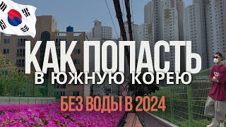 КАК ПОПАСТЬ В ЮЖНУЮ КОРЕЮ В 2024  краткий гайд [upl. by Adlar]