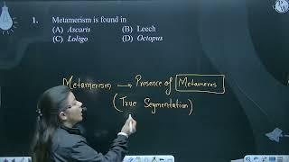 Metamerism is found in [upl. by Fairlie]