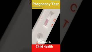 Pregnancy Test [upl. by Rehtse747]