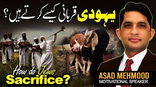 Is Jewish Sacrifice Animal Watch Shocking Facts About Sacrifice in Judaism by Dr Asad Mehmood [upl. by Atileda]