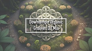 Downtempo Organic Grooves DJ Mix  Chill Music  Electronica [upl. by Akena]