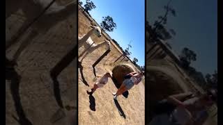 Llama spitting on man 🤣 funnyshorts funnyanimals viral [upl. by Schuler]