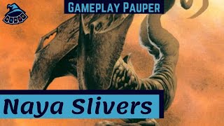 GAMEPLAY PAUPER Naya Slivers [upl. by Eelreveb]