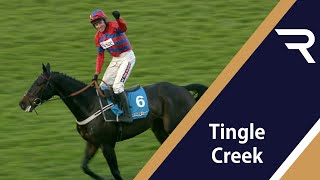 quotWhat kind of MONSTER is thisquot Sprinter Sacre blows them away in the 2012 Tingle Creek  Racing TV [upl. by Nino]