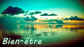 Bienêtre Musique Pour Méditation et Dormir  Relaxation [upl. by Saoj127]