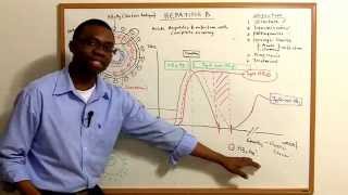 Hepatitis B lecture Video [upl. by Denis]