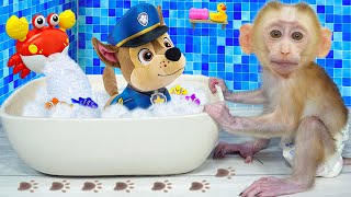 Monkey Baby BiBon bath in the toilet with puppy and eats Ice Cream at the pool  Animals Home Monkey [upl. by Ezara249]