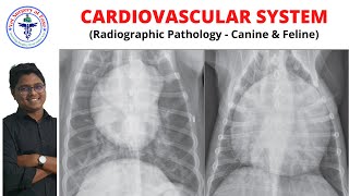 CardioVascular System  Radiology  Lecture 15 [upl. by Ajan]