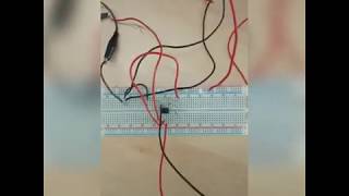 Experiment 6 Implementation of Differentiator and Integrator using 741 Opamp IC Video 3 [upl. by Reedy]