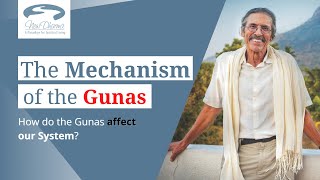 Mechanism of the Gunas  Teachings [upl. by Ahsyek991]