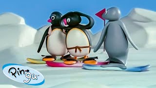 Pingu Has Fun with his Friends 🐧  Pingu  Official Channel  Cartoons For Kids [upl. by Anovahs]