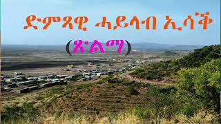 Eritrean music by Haylab Isaak xilma 2024 [upl. by Langley848]