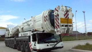 Liebherr LTM 1500 81 FOSELEV [upl. by Harberd395]