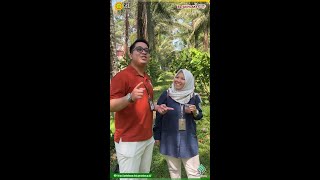 Kakao BL 50 🍫✨ Tanaman unggulan dari komoditas perkebunan [upl. by Winer]