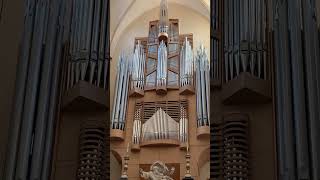 Inhuldiging van het gerestaureerde Klaisorgel in de SintSalvatorskathedraal in Brugge [upl. by Urbano]