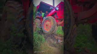 Red horse 🐎🐎rinkubaghel09 video redhorse farming mahindra youtube [upl. by Evangelin]