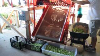 Small Scale Hop Harvester  Bine 3060 [upl. by Aguayo]