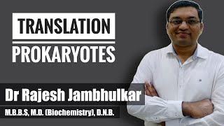 Translation in Prokaryotes [upl. by Ayotel]