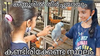 pet station  kannur mattool  Nachuzzworld [upl. by Aicnetroh]